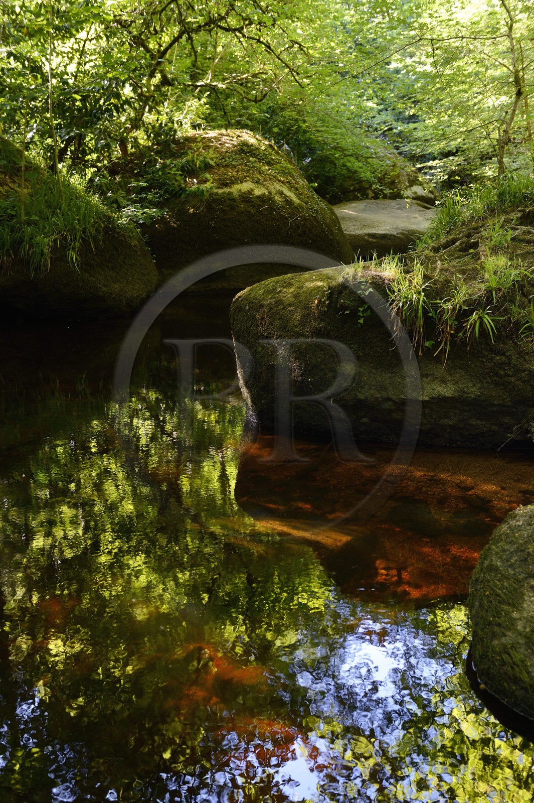 France, Finistère (29), parc naturel régional d'Armorique, Huelgoat, chaos granitique de la forêt du Huelgoat, la forêt se reflète dans l'eau de la rivière d'Argent qui prend parfois une couleur rouge sang