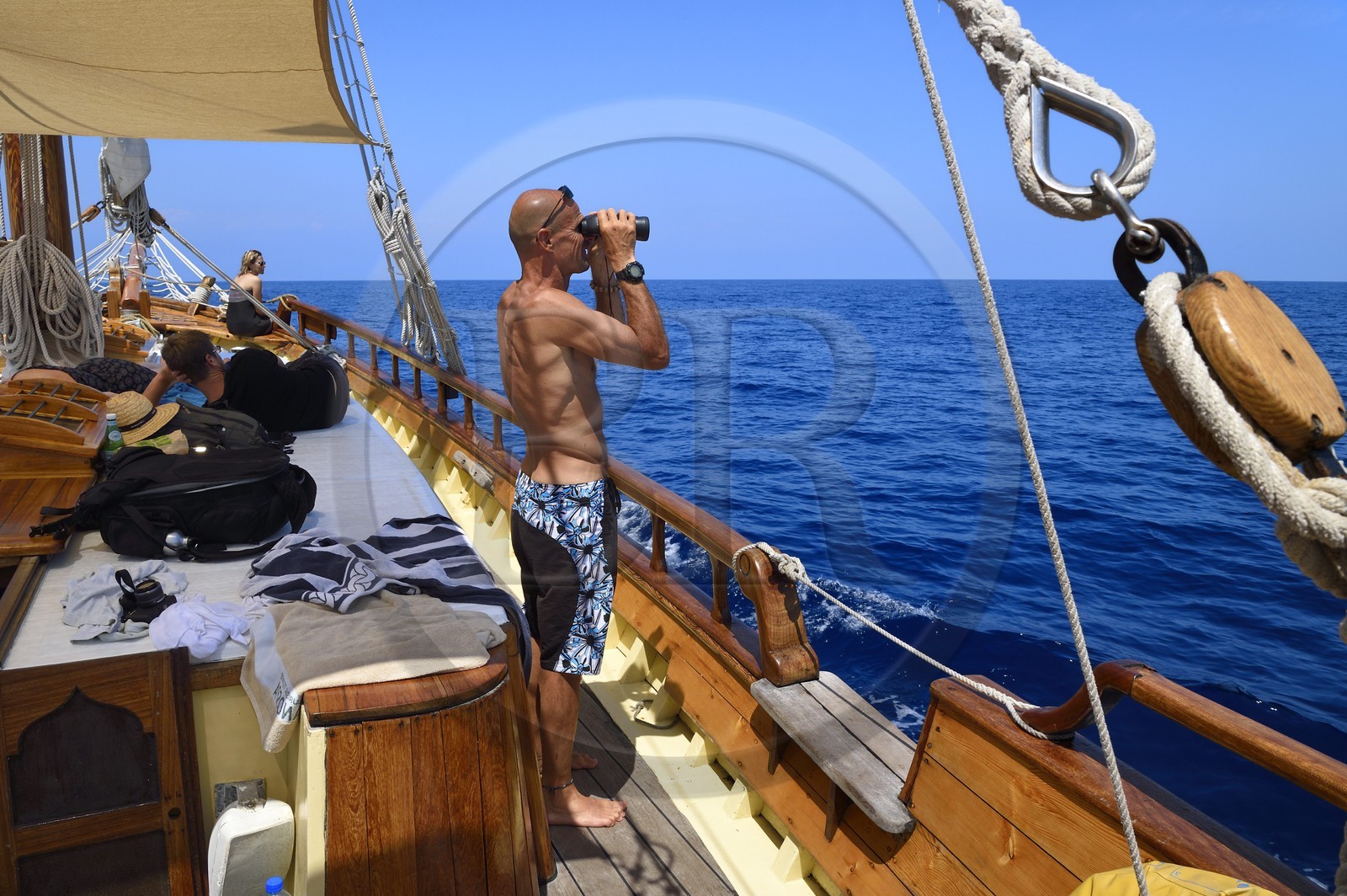 France, Alpes-Maritimes (06), Saint-Jean-Cap-Ferrat, sortie en mer sur le bateau Santo Sospir avec l'association SOS Grand Bleu pour l'observation des dauphins et des baleines dans le Sanctuaire Pelagos