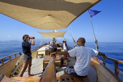 France, Alpes-Maritimes (06), Saint-Jean-Cap-Ferrat, sortie en mer sur le bateau Santo Sospir avec l'association SOS Grand Bleu pour l'observation des dauphins et des baleines dans le Sanctuaire Pelagos