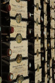 France, Côte-d'Or (21), le Château du Clos-de-Vougeot (vignoble des Côtes de Nuit), collection de grands crus