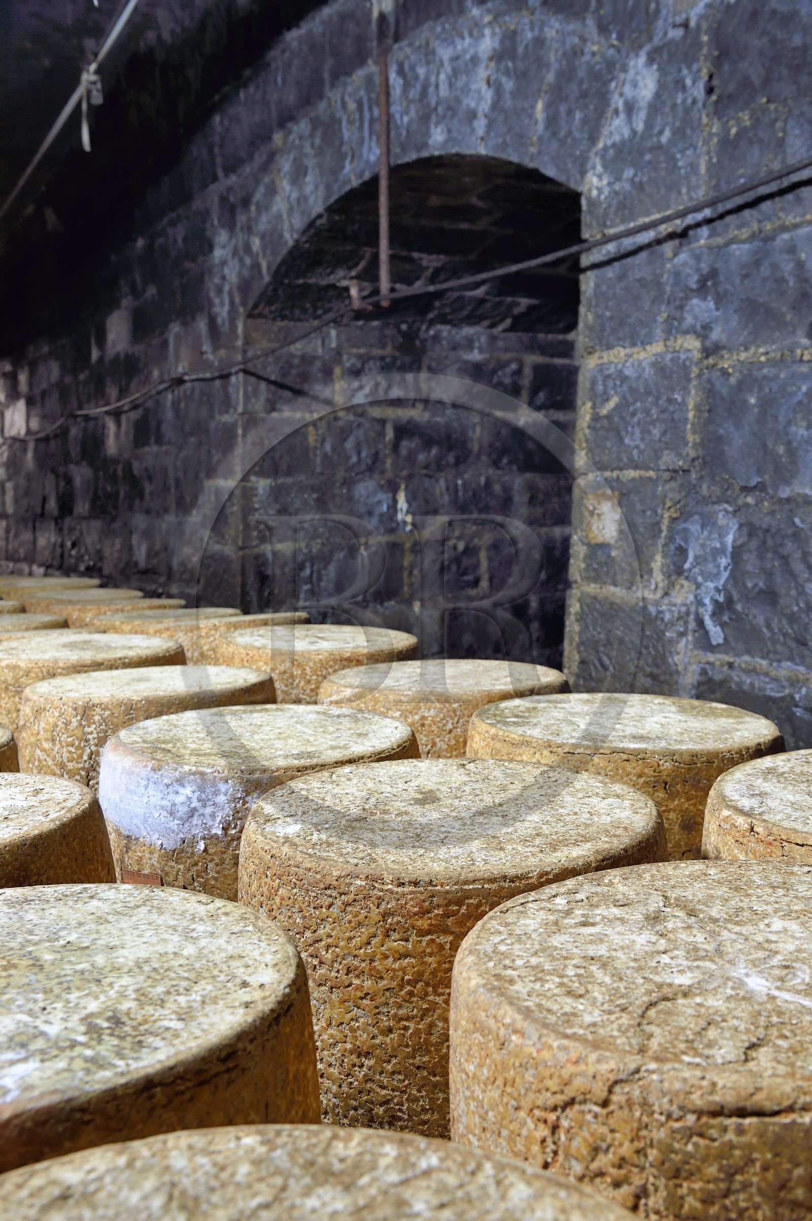 France, Cantal (15), La Chapelle-Laurent, cave d'affinage pour les fromages Marcel Charrade dans l'ancien tunnel ferroviaire de la ligne Saint-Flour - Brioude long d’un kilomètre