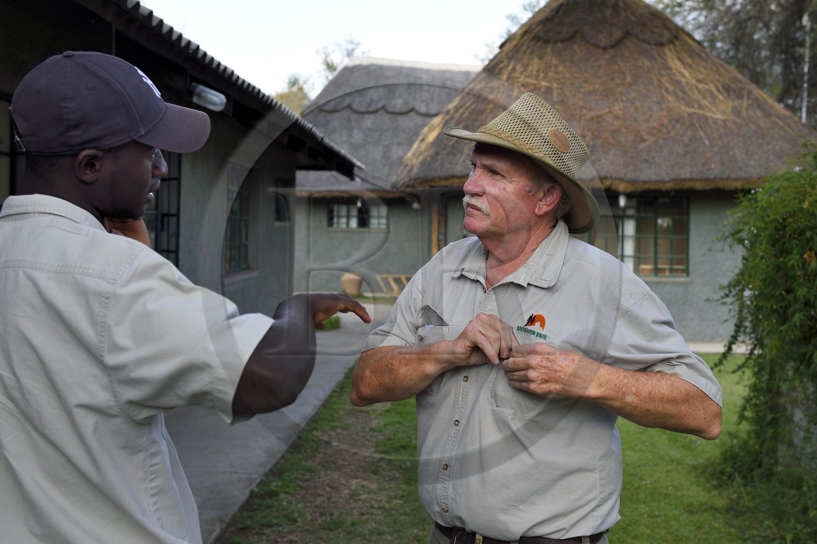 Zimbabwe, province des Midlands, Gweru, Antelope Park qui abrite ALERT (African Lion and Environmental Research Trust), le managing director Gary Jones à droite et le guide Ngaa