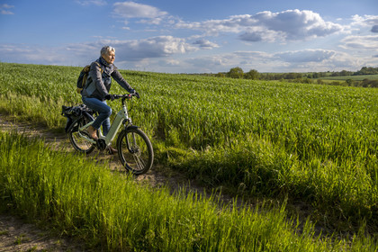 France, Vendée (85), Saint-Aubin-des-Ormeaux, sur la piste de la véloroute Vendée Vélo Tour