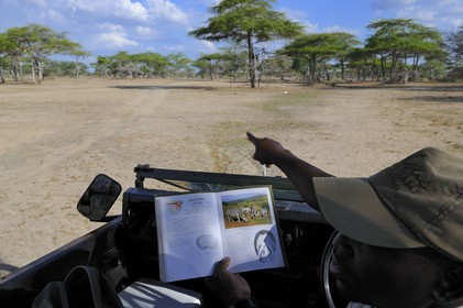 Tanzanie, Reserve de gibier de Selous une des plus grandes zones protégées au monde et inscrite sur la liste du patrimoine mondial de l’Unesco depuis 1982, ranger du Selous camp pointant des zèbres