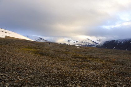 Norvège, Svalbard (Spitzberg), toundra dans la région de Longyearbyen