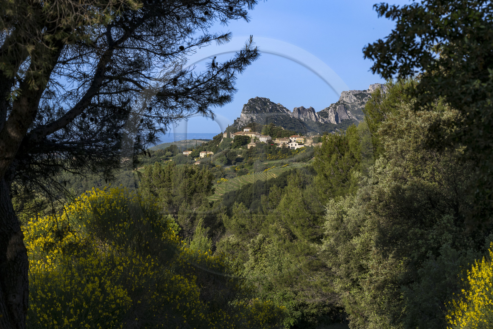 France, Vaucluse (84), Dentelles de Montmirail, le village de Suzette