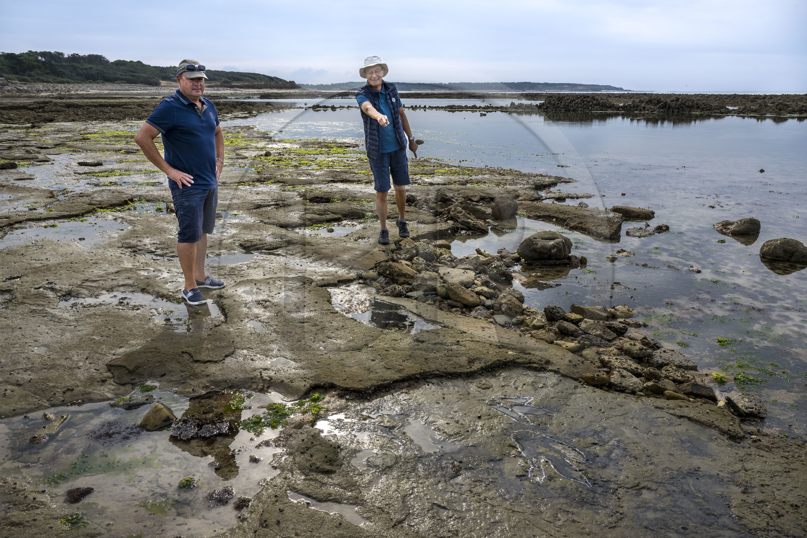 France, Vendée (85), Talmont-Saint-Hilaire, la Pointe du Payré, estran du site du Veillon à marée basse, Didier Neault à gauche et Jack Guichard à droite nous montrent les traces fossiles tridactyles de dinosaures bipèdes datées d'environ 200 millions d’années