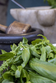 France, Alpes-Maritimes (06), Nice, restaurant Lou Balico spécialisé dans le basilic, Sara Issautier présente la préparation du pesto traditionnel