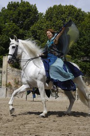 France, Loir et Cher (41), château de Chambord, spectacle d' Art équestre