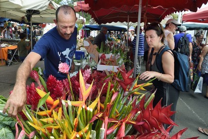 France, Ile de la Reunion, Saint-Pierre, le marché du samedi, étal de fleuriste, heliconias et roses de porcelaine (Etlingera elatior)