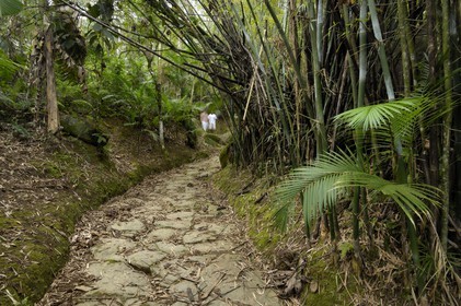Brazil, Rio de Janeiro State, Paraty, former Gold Trail (Estrada Real)