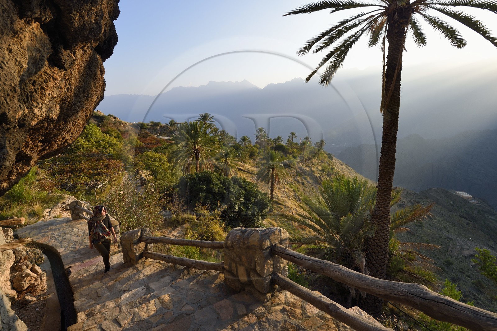 Sultanat d'Oman, Gouvernorat d'Al-Batina du Sud, Hajar occidental, Wadi Mistall, village de Wakan (Wukan), le sentier de randonnée comprenant 700 marches monte à travers les jardins en terrasses et le long de canaux d'irrigation