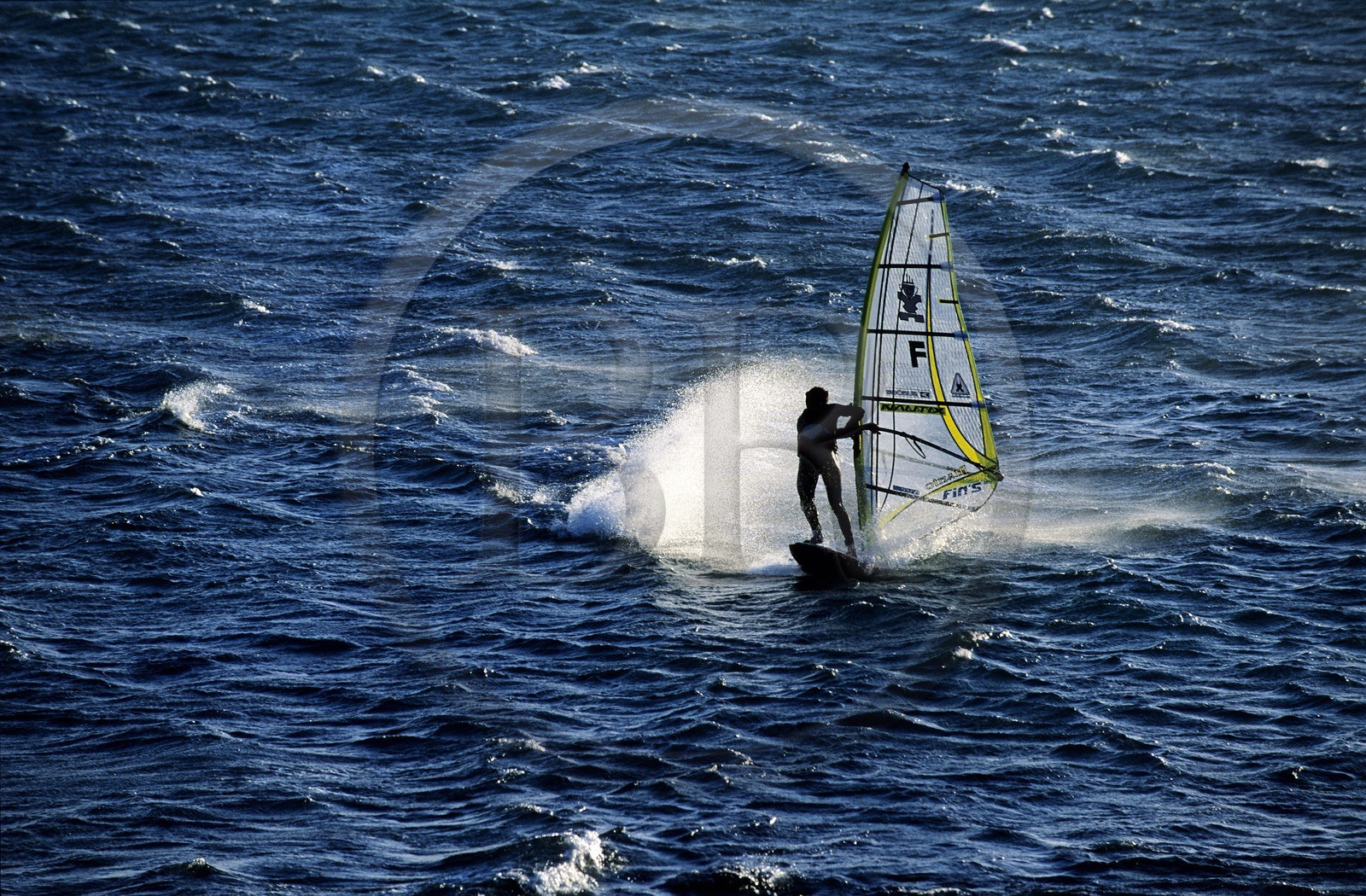 France, Reunion island (French overseas department), surfers near Saint-Leu beach