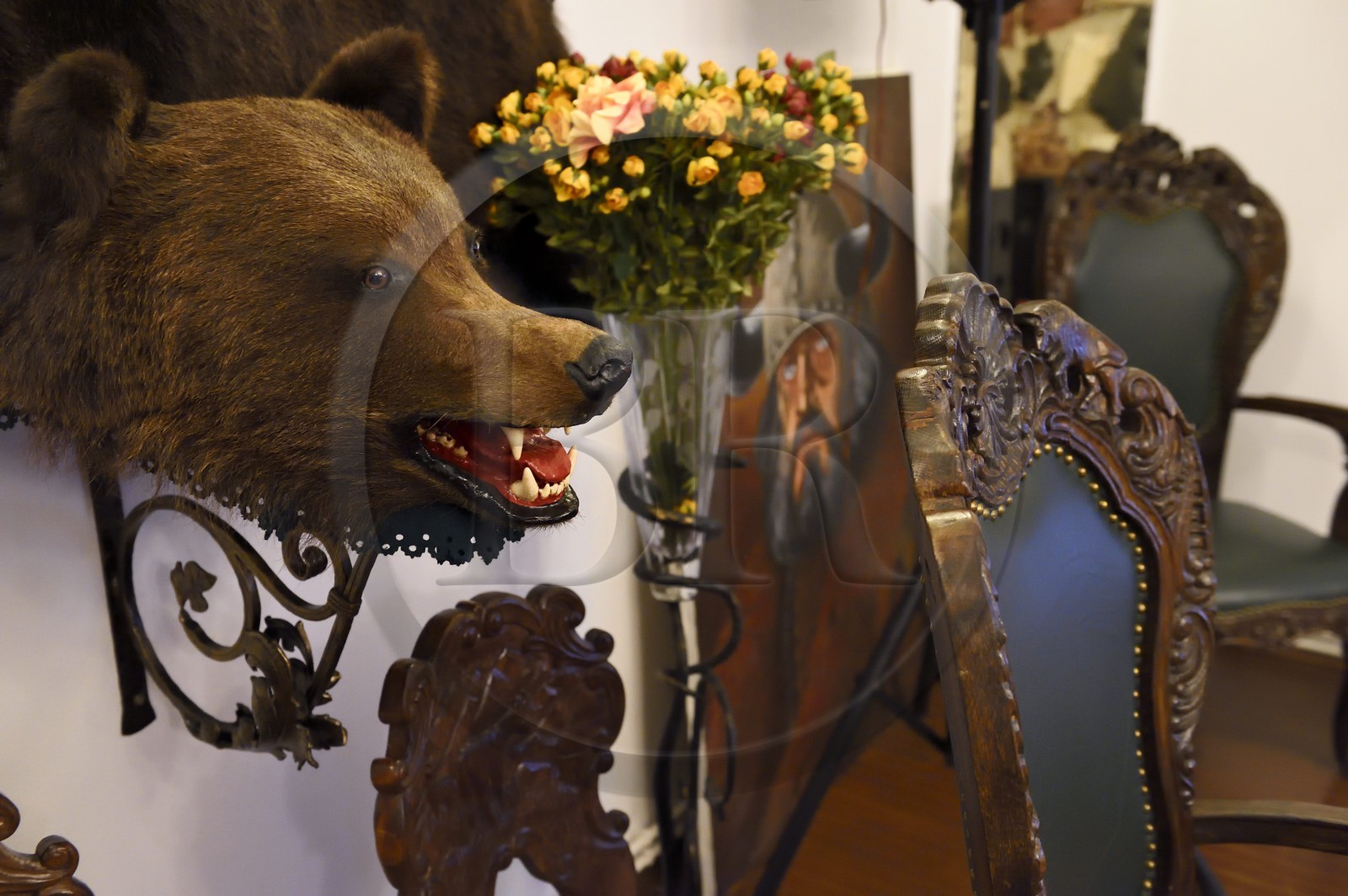 Roumanie, Transylvanie, région de Cluj, Turda, hotel Hunter Prince Castle et Dracula hotel