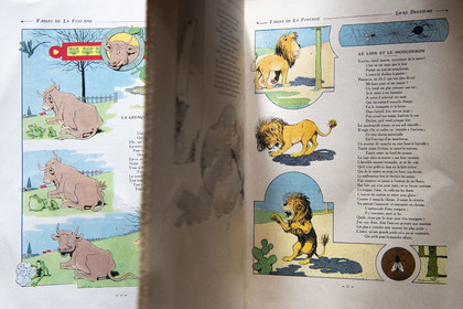 France, Aisne (02), Château-Thierry, Musée Jean de La Fontaine - Ville de Chateau-Thierry, livre des Fables de La Fontaine illustrées par Benjamin Rabier, Edition Jules Tallandier, 1906, in-folio, La Grenouille qui se veut faire aussi grosse que le bœuf fable III du livre I et le Lion et le Moucheron fable IX du livre II