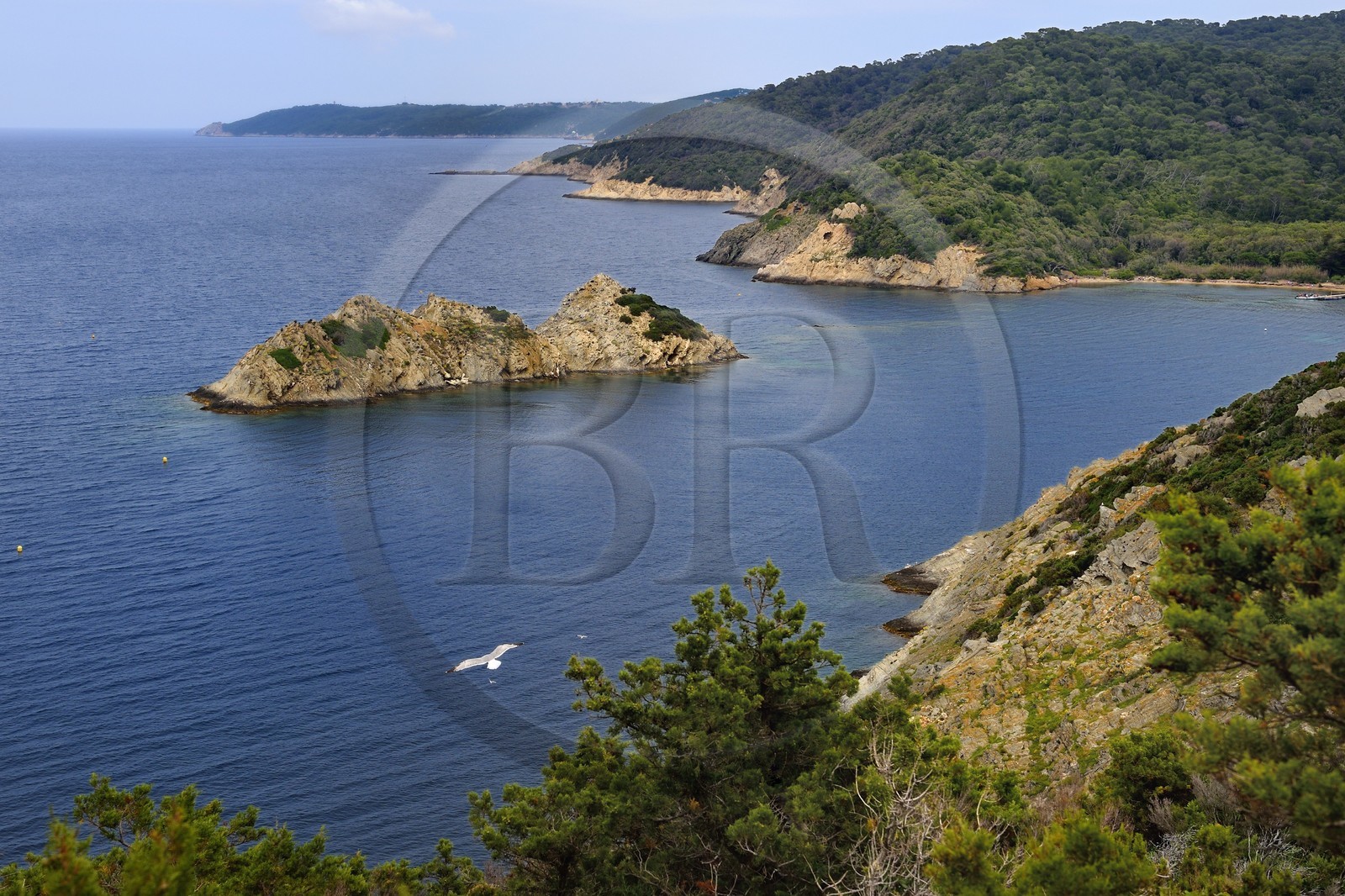 France, Var, Iles d'Hyeres, Parc national de Port Cros (National park of Port Cros), Port-Cros island, La Palud beach, rock Rascas