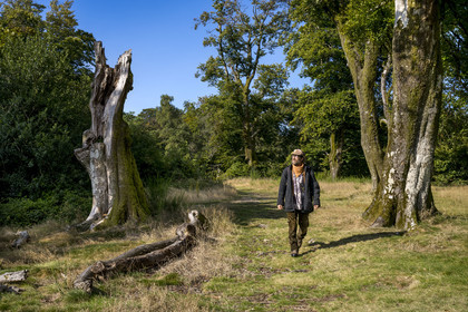 France, Saône-et-Loire (71), parc naturel régional du Morvan, Saint-Léger-sous-Beuvray, oppidum de Bibracte, capitale du peuple celte des Éduens, site archéologique sur le mont Beuvray