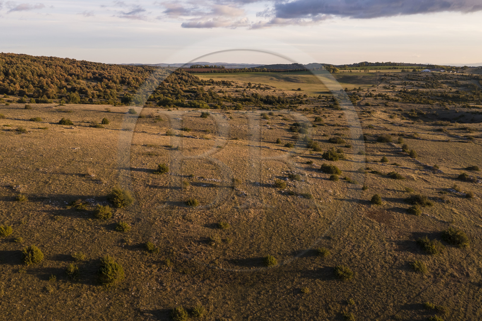 France, Aveyron (12), Causses et les Cévennes, paysage culturel de l'agro-pastoralisme méditerranéen, classés Patrimoine Mondial de l'UNESCO, La Cavalerie, le plateau du Larzac (vue aérienne)