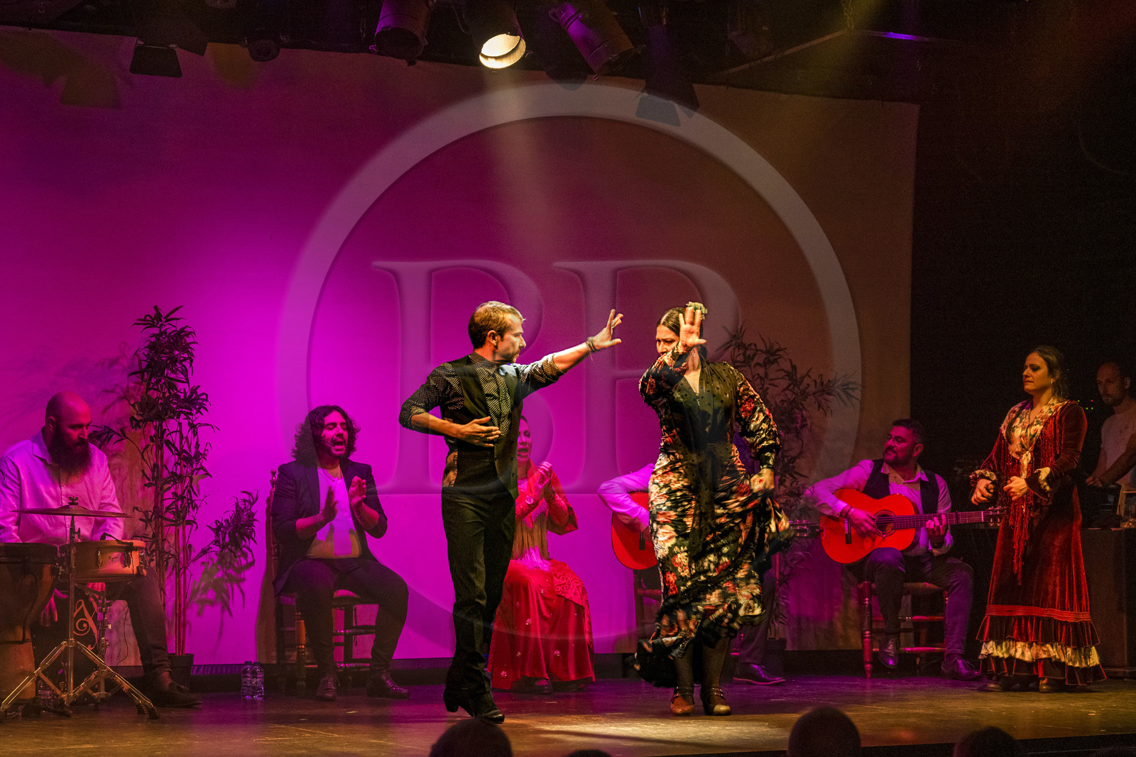 Espagne, Catalogne, Barcelone, City Hall Barcelona, spectacle de danse Flamenco