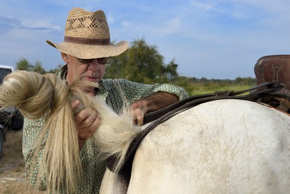 France, Bouches-du-Rhône (13), Parc naturel régional de Camargue, manade Jacques Mailhan, le gardian Jean Marie Londez harnachant son cheval