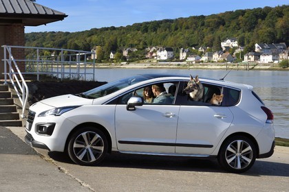 France, Seine-Maritime (76), Pays de Caux, Parc naturel régional des Boucles de la Seine normande, Duclair, traversée du bac sur la Seine, car with dogs as passengers