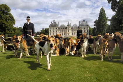 France, Loir et Cher, Chateau de Cheverny, the hunstmen Vol au Vent and La Rosée, who manage the pack of 90 dogs for hunting