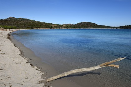 France, Corse-du-Sud (2A), Réserve Naturelle des Bouches de Bonifacio, baie et plage de Rondinara