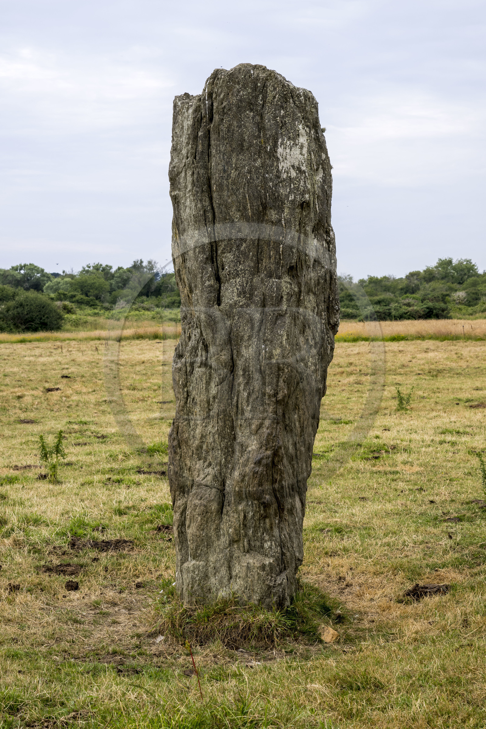 France, Morbihan, Groix Island, Kerlobras, menhir of Kelhuit