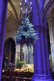France, Bas-Rhin (67), Selestat, les sapins suspendus sous les arcs de la nef de l'église Saint-Georges sont décorés traditionnellement de pommes, bredele, boules en tenant compte d'une évolution dans le temps