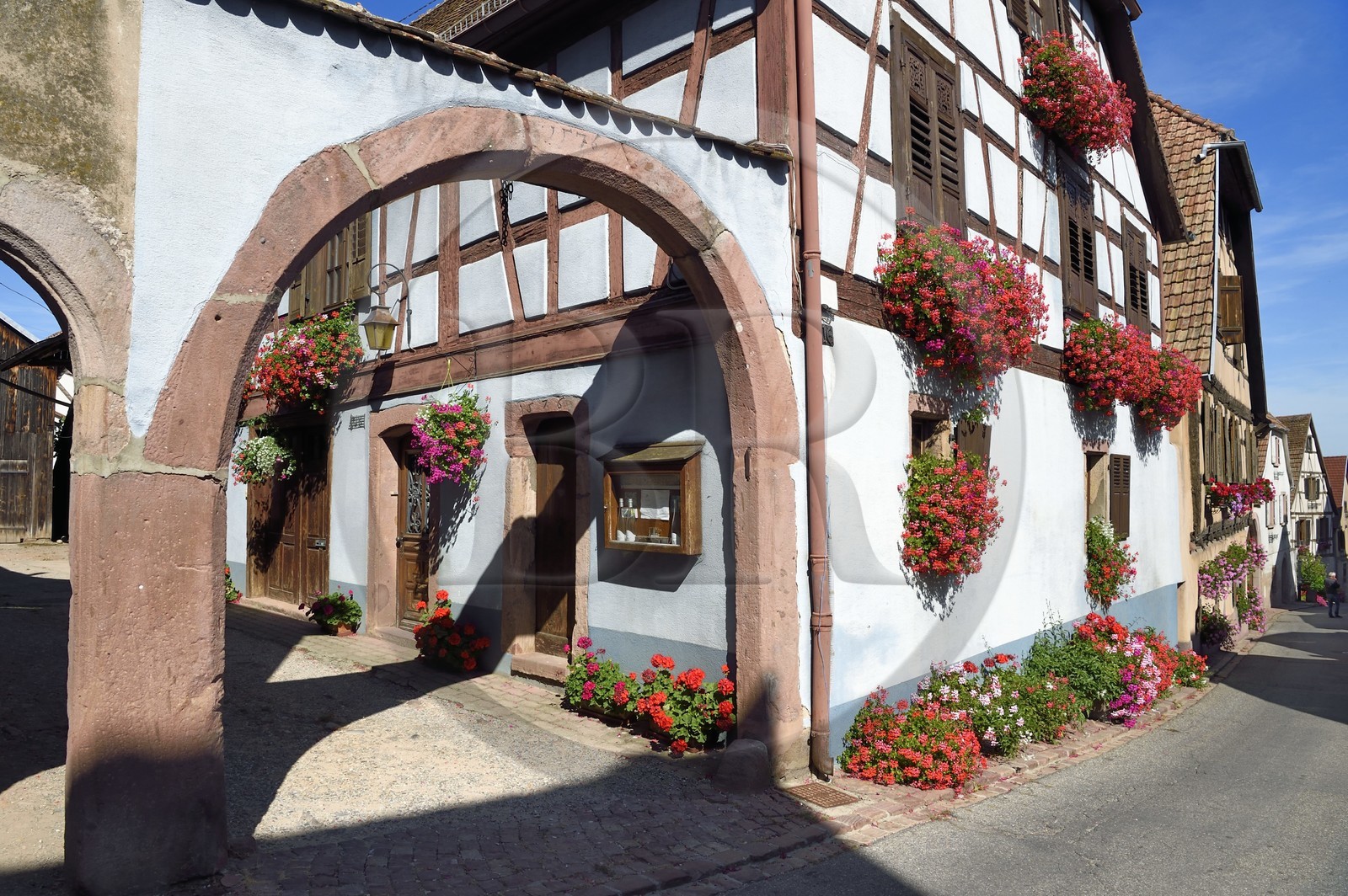 France, Haut-Rhin (68), Route des vins d'Alsace, Hunawihr, labellisé Les Plus Beaux Villages de France, maison de vigneron dans la rue principale