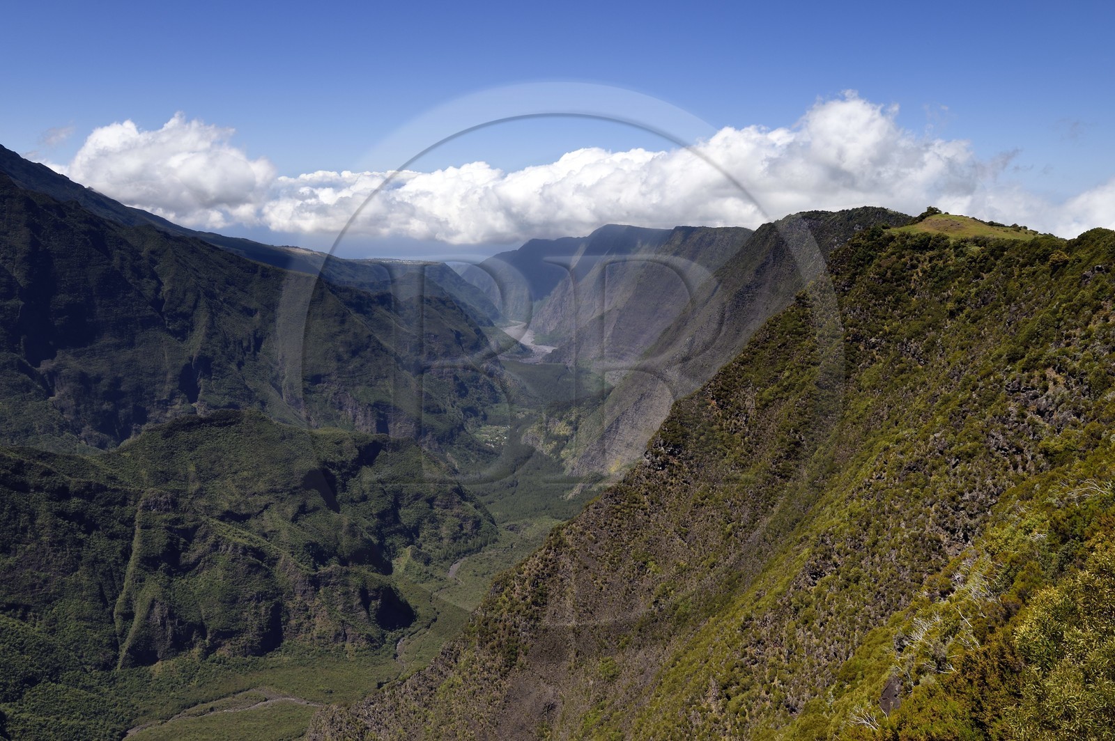France, Ile de la Reunion, Parc National de la Réunion classé Patrimoine Mondial de l'UNESCO, volcan du Piton de la Fournaise, vallée de la Rivière des Remparts
