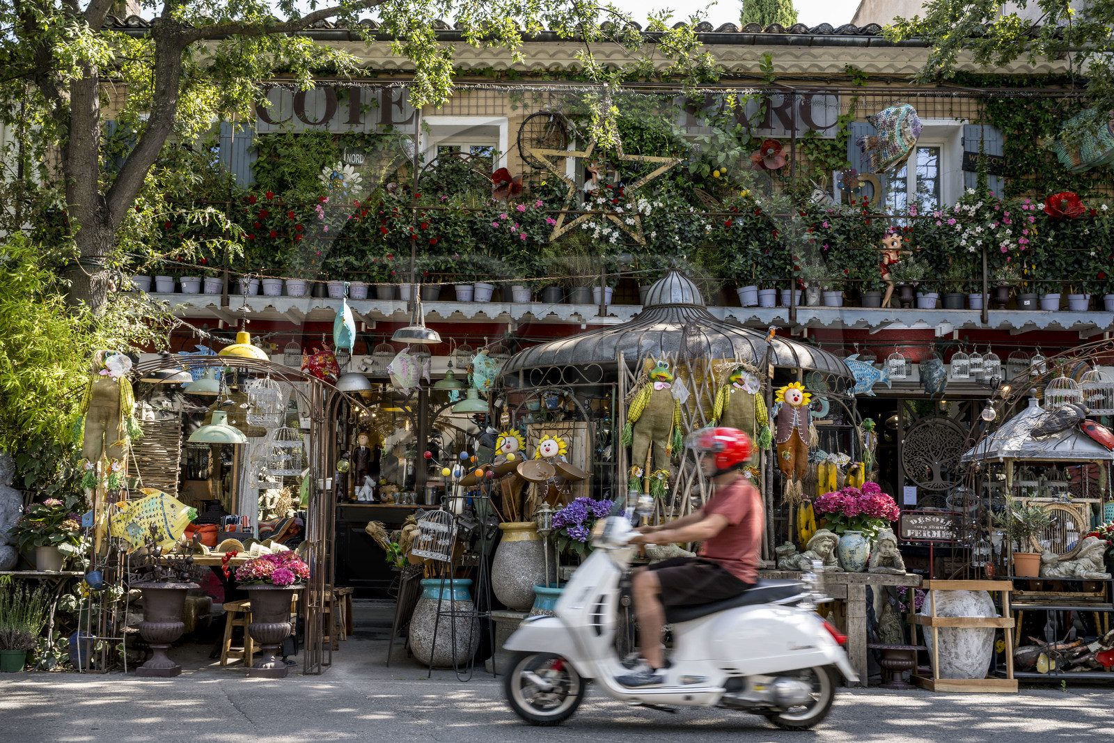 France, Vaucluse (84), L'Isle-sur-la-Sorgue, magasin de décoration, brocante et antiquités Coté Parc