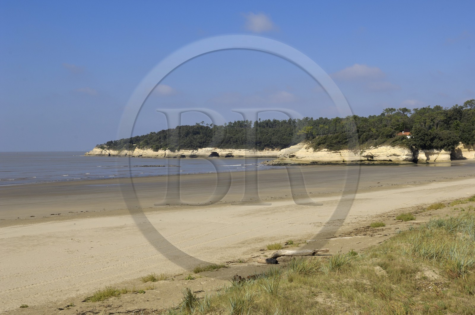 France, Charente-Maritime (17), Meschers-sur-Gironde
