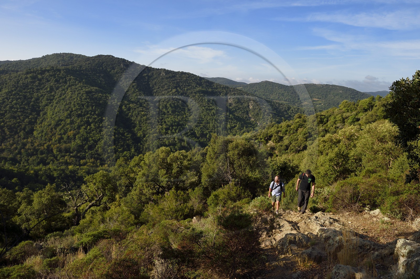 France, Var, Massif des Maures, Collobrières, Lambert menhirs hiking in the valley behind the village