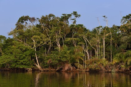 Gabon, province de Ogooué- Maritime, une des nombreuses rivières de la lagune du Fernan Vaz (Nkomi)