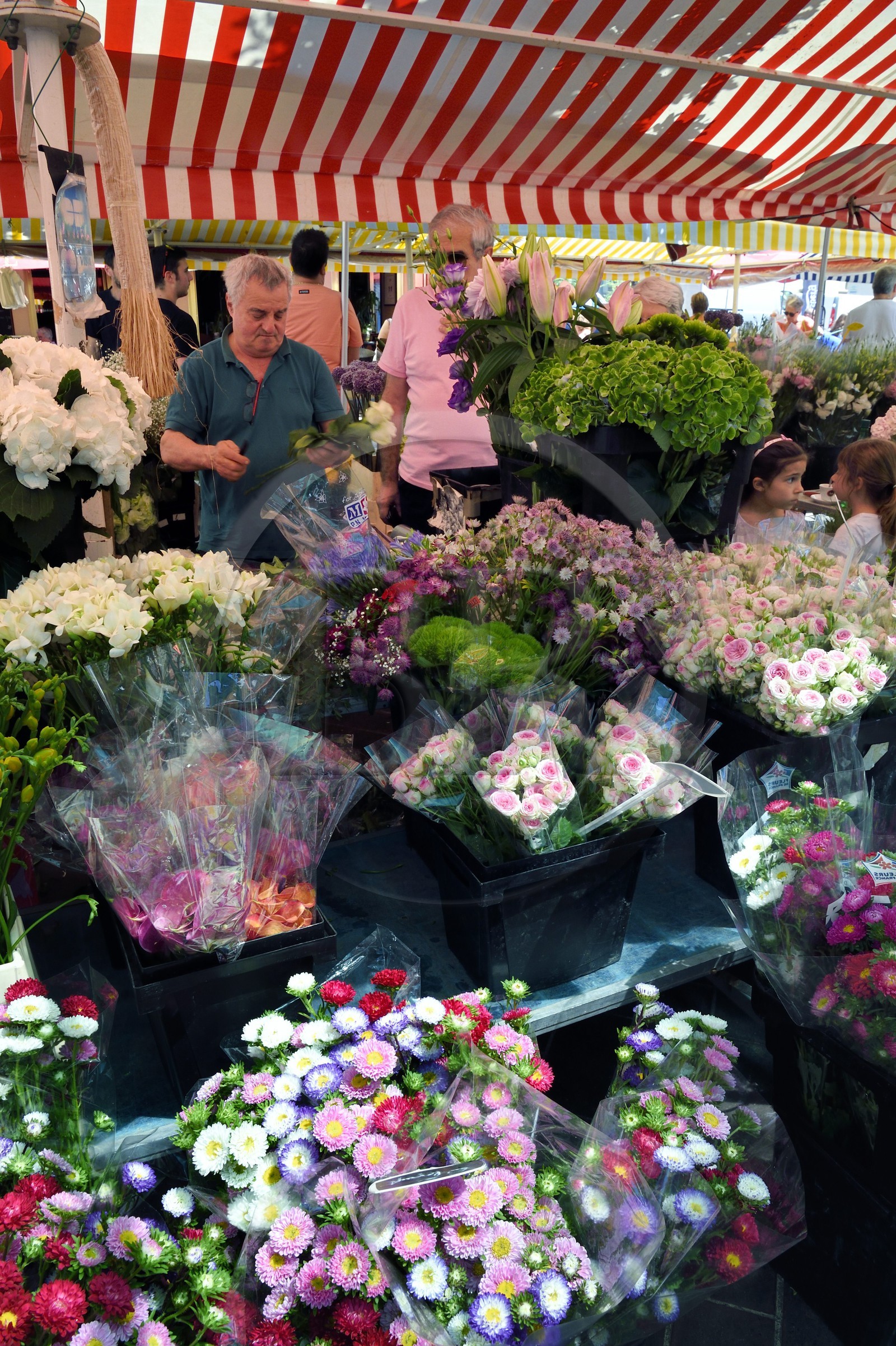 France, Alpes-Maritimes (06), Nice, vieille ville, marché du cours Saleya, marché aux fleurs, le fleuriste Jean-Patrice Mege