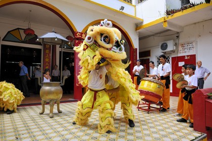 France, île de la Réunion, Saint-Pierre, danse traditionnelle du dragon à l'occasion des fêtes du nouvel an chinois dans un temple