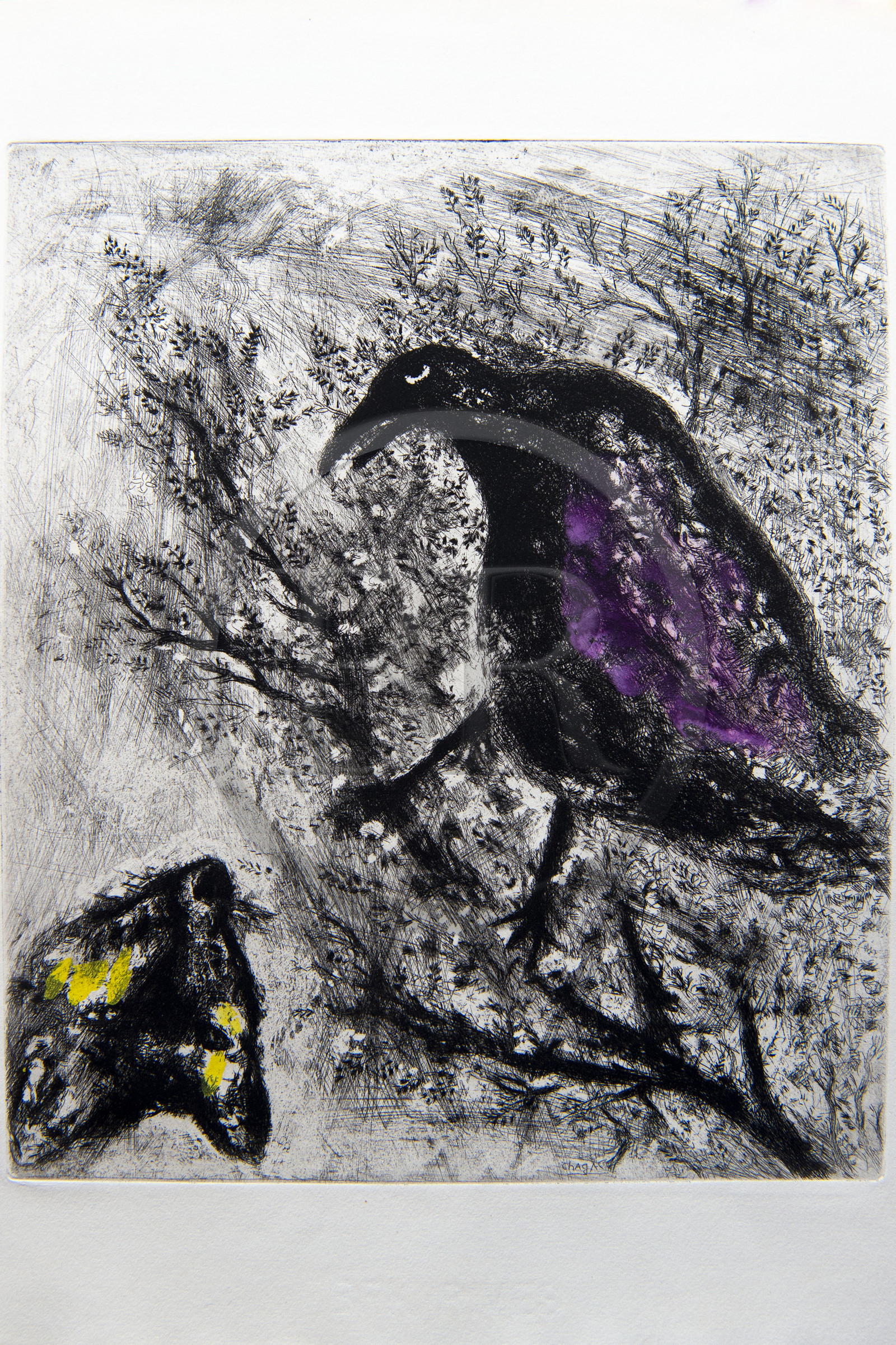 France, Aisne, Château-Thierry, Jean de La Fontaine Museum - city of Chateau-Thierry, illustrations from La Fontaine's Fables, The Raven and the Fox fable II from book I, prints by Marc Chagall, 1927-1930 (copper engraving), published by Tériade in 1952, etching on wove paper, heightened with gouache and watercolor