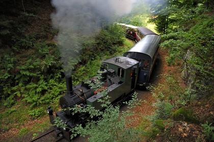 France, Moselle (57), Abreschviller, le petit train anciennement train forestier