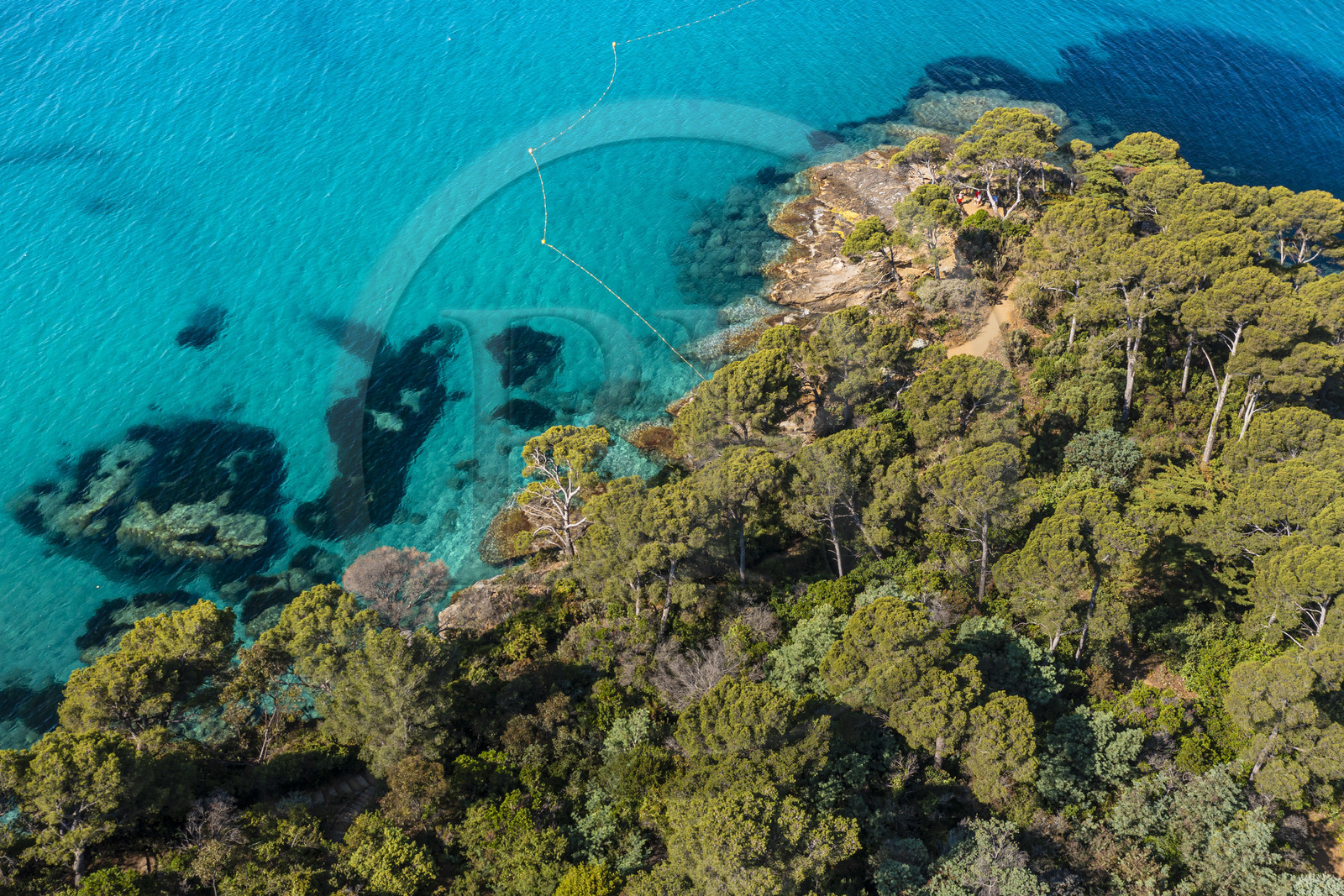 France, Var (83), Rayol-Canadel-sur-Mer, Domaine du Rayol, propriété du conservatoire du littoral mention obligatoire, le jardin des Méditerranées conçu par le paysagiste Gilles Clément (vue aérienne)