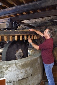 France, Var, the Dracenie, village de Tourtour, labelled Les Plus Beaux Villages de France (The Most Beautiful Villages of France), the master mill Jean-Marc Simon in front of the municipal olive mill