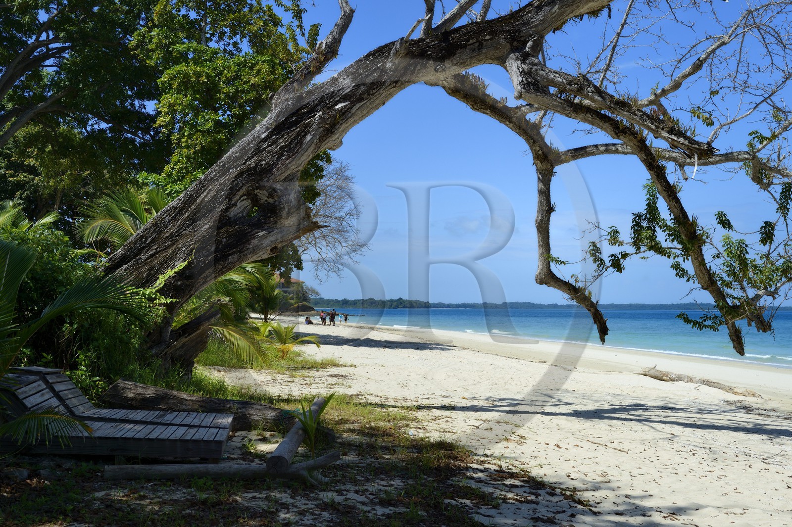 Panama, archipel des Perles, Isla Viveros, plage de sable blanc