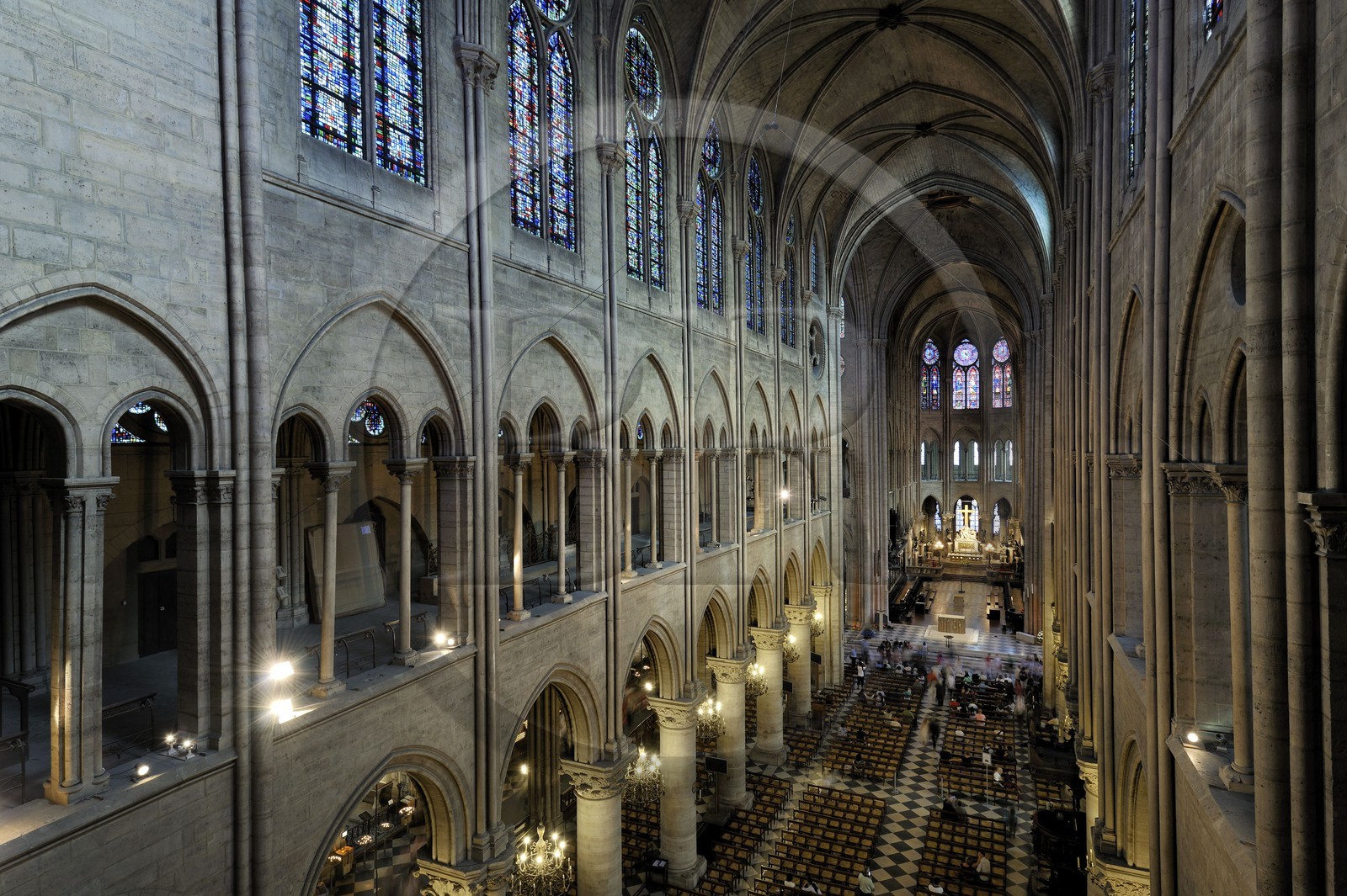 France, Paris (75), île de la Cité, la cathédrale Notre-Dame, la nef