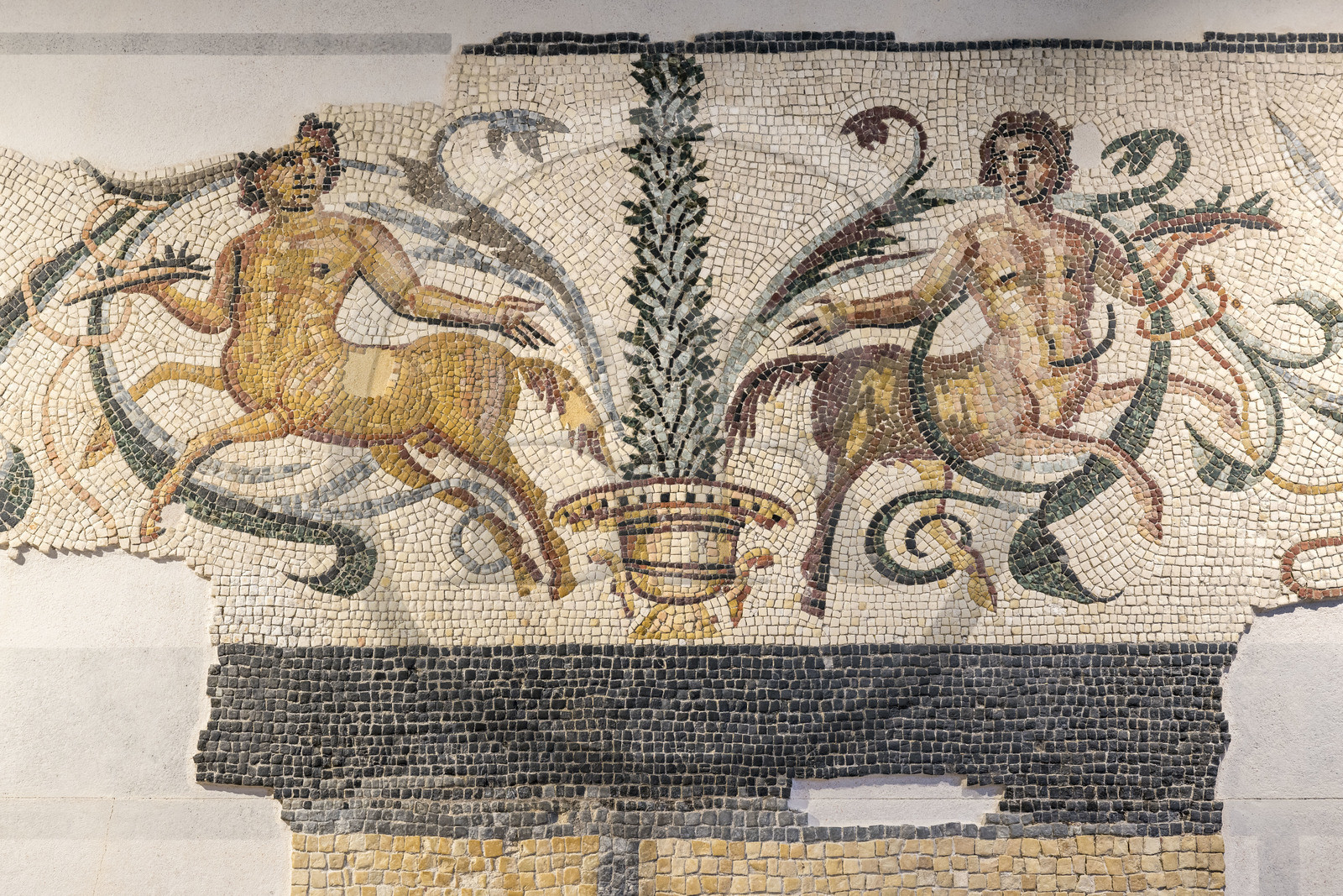 France, Vaucluse, Orange, the museum of art and history, the centaur mosaic found in a domus of the Pontillac block at the gate of the Roman Forum (1st century)