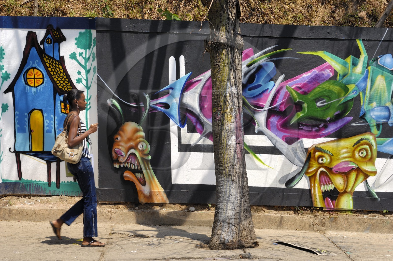Brésil, Etat du Minas Gerais, Belo Horizonte, fresque près de l'université