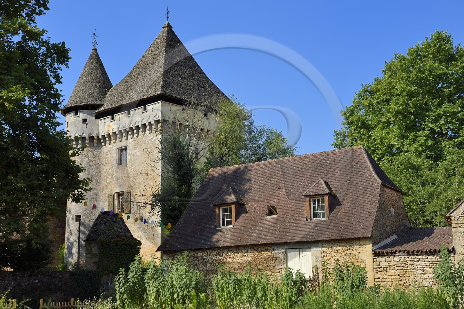 France, Dordogne, Perigord Noir, Vezere Valley, Saint Leon sur Vezere, labelled Les Plus Beaux Villages de France (The Most Beautiful Villages of France), the keep of the Manoir de la Salle Mansion