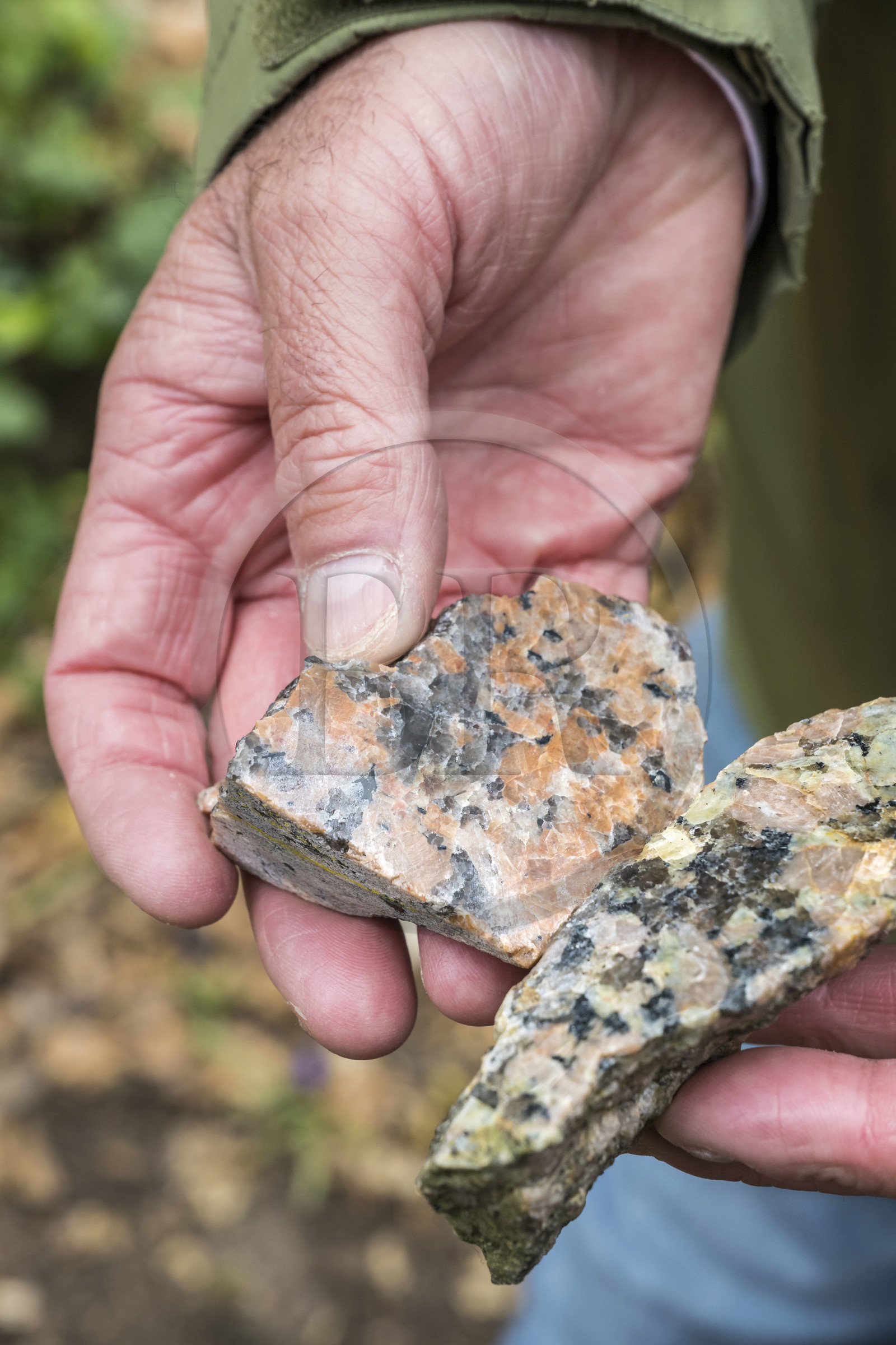 France, Côtes-d'Armor (22), Côte de Granit Rose, Trégastel, vallée des Grands Traouiero, échantillons de granit à gros grain qui se compose de quartz, de mica et de feldspath, rose mais aussi avec une dominante verte