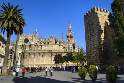 Espagne, Andalousie, Séville, quartier de Santa Cruz, la Giralda, ancien minaret almohade de la Grande Mosquée reconverti en clocher de la cathédrale, classé Patrimoine Mondial de l'UNESCO