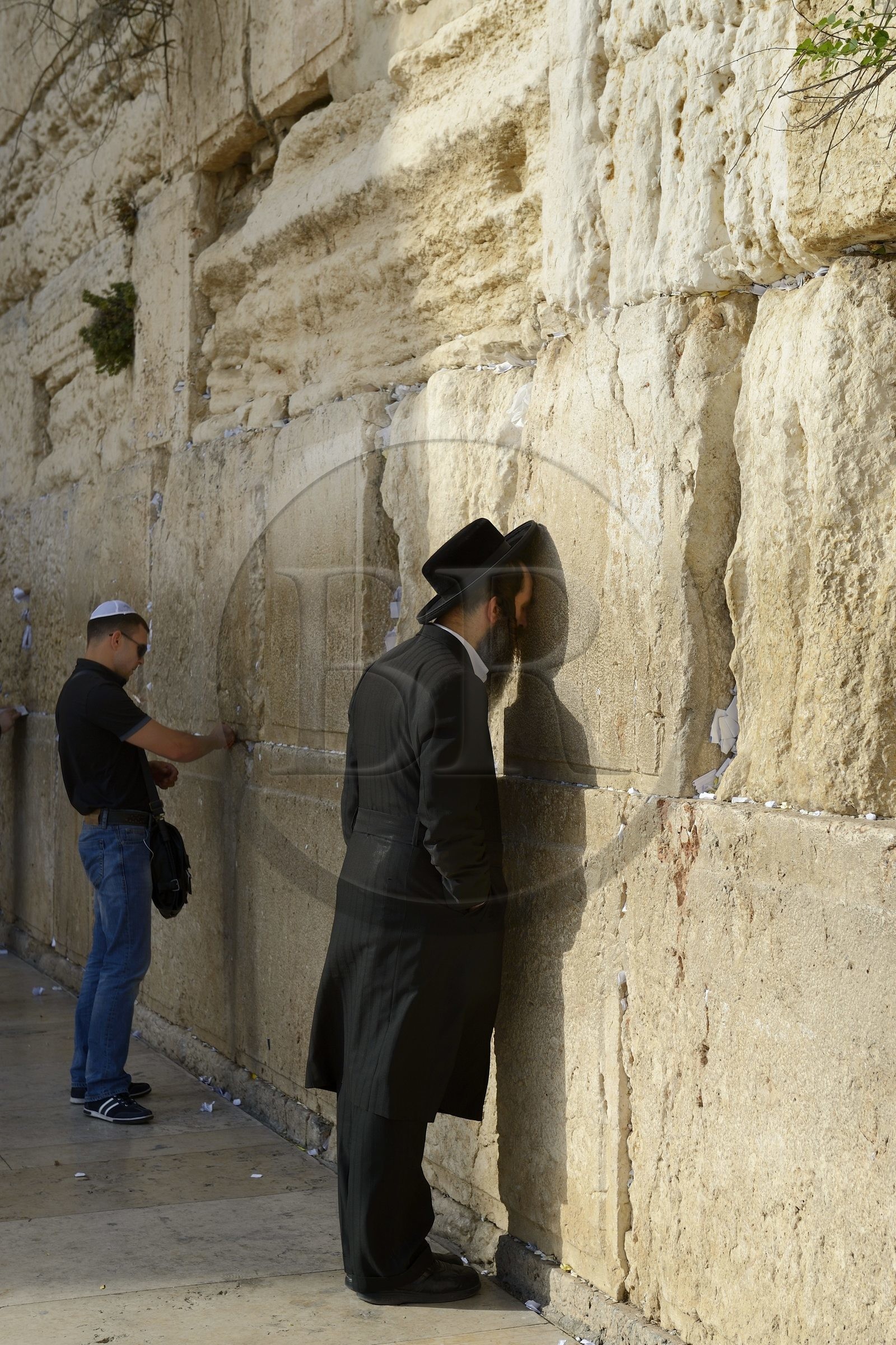 Israel, Jérusalem, ville sainte, vieille-ville classée Patrimoine Mondial de l'UNESCO, Mur des Lamentations ou mur occidental faisant partie des murs de soutènement de l'esplanade du Temple construite par Hérode Ier le Grand, Juif orthodoxe en prière