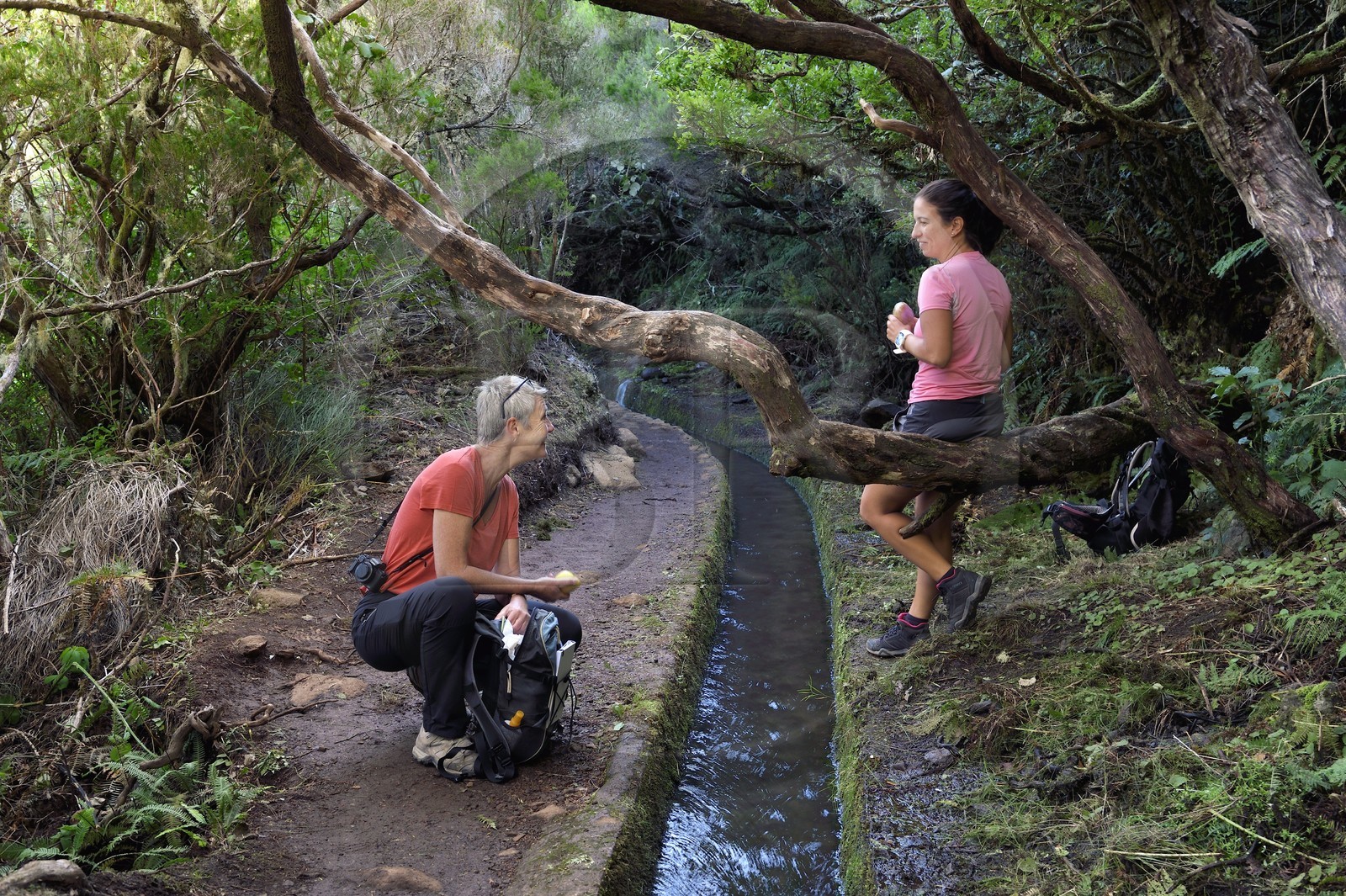 Portugal, Madeira Island, hike in the forest of Rabaçal by the levada do Alecrim, one of the countless irrigation canals that guide the water from the highlands to the cultivated terraces in the south, picnic break